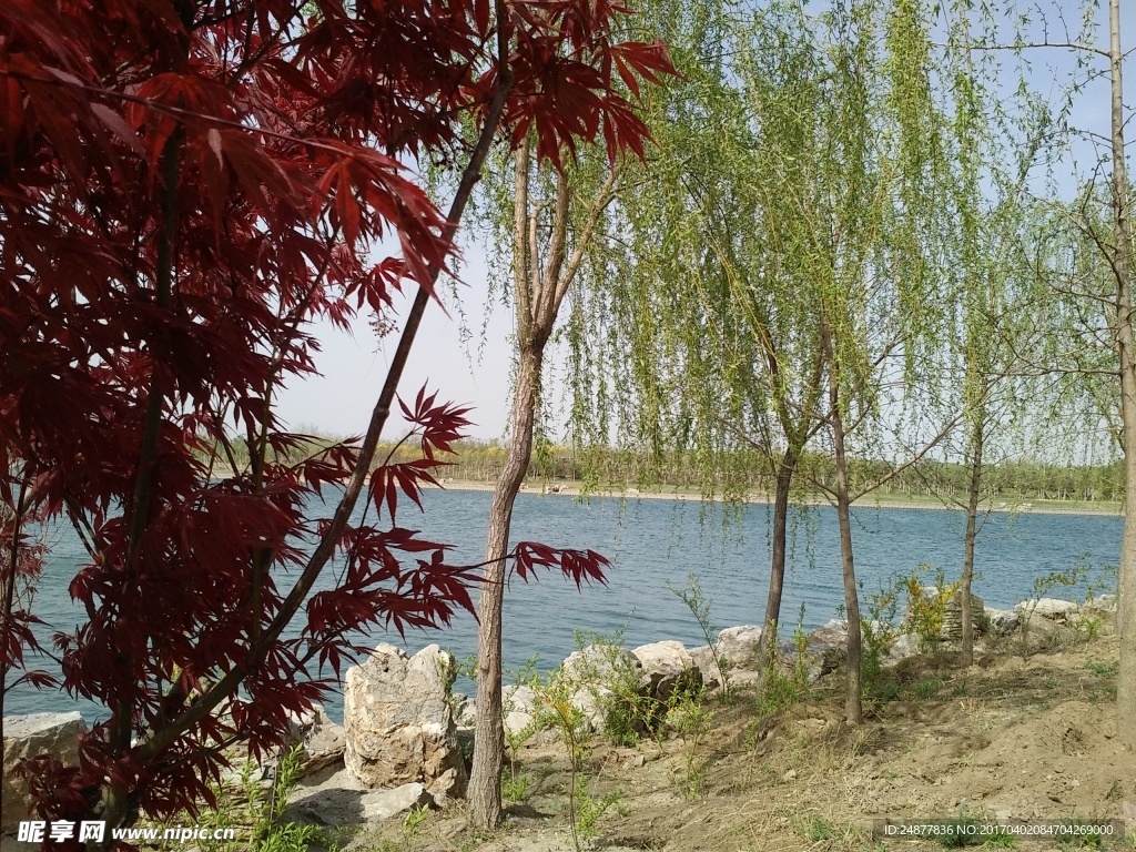 春湖