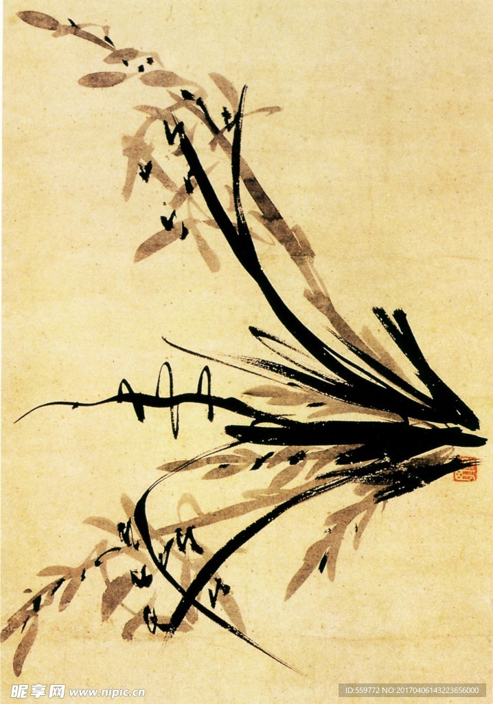 國(guó)畫(huà) 蘭草