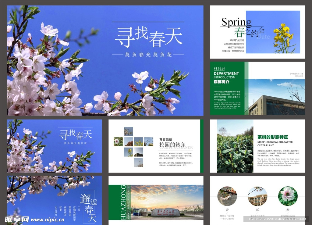 簡約PPT   清新PPT