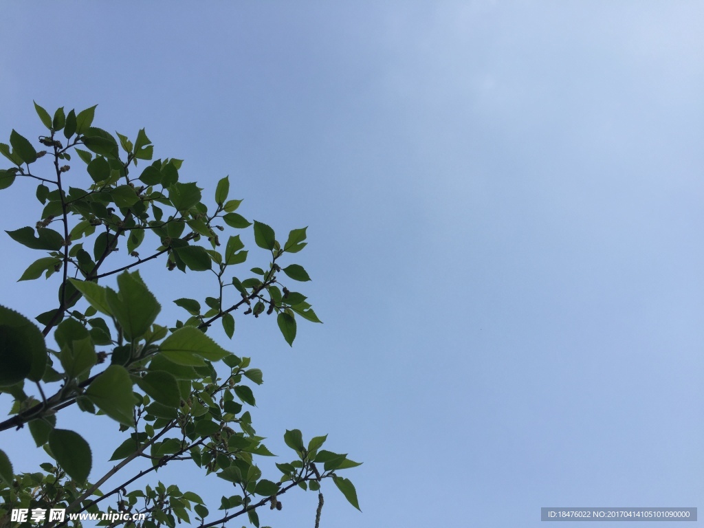 天空