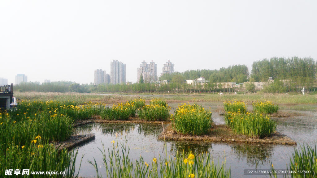 公園景色