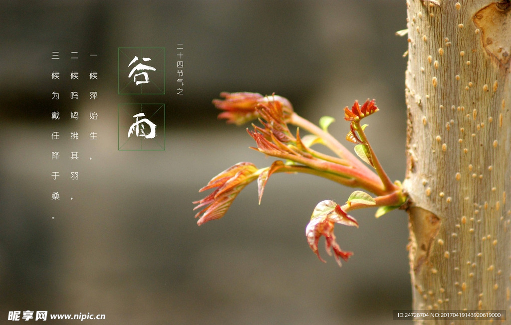 谷雨 節(jié)氣
