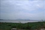 三江沙仔岛遥望银洲湖