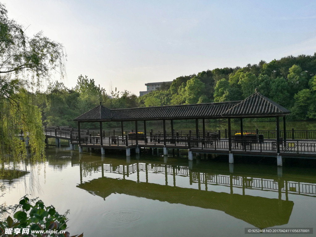 公園景觀