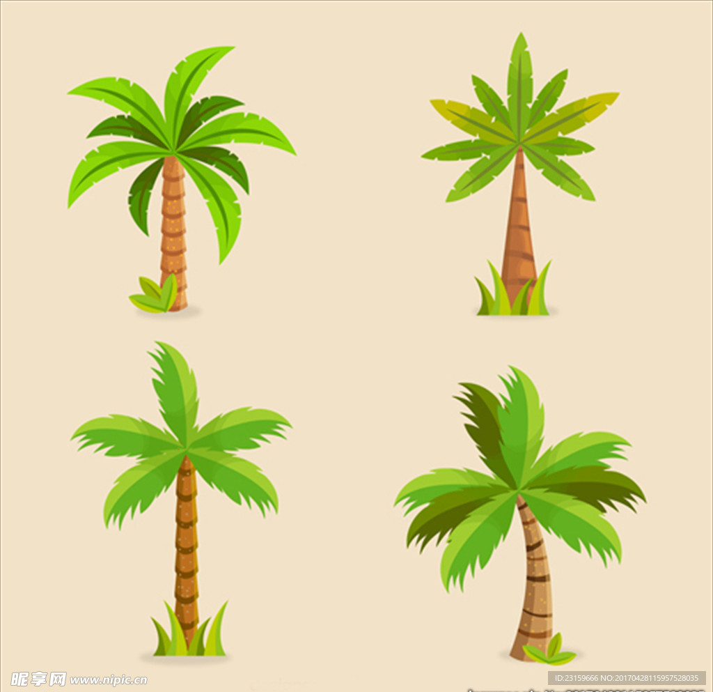 四款美丽的棕榈树
