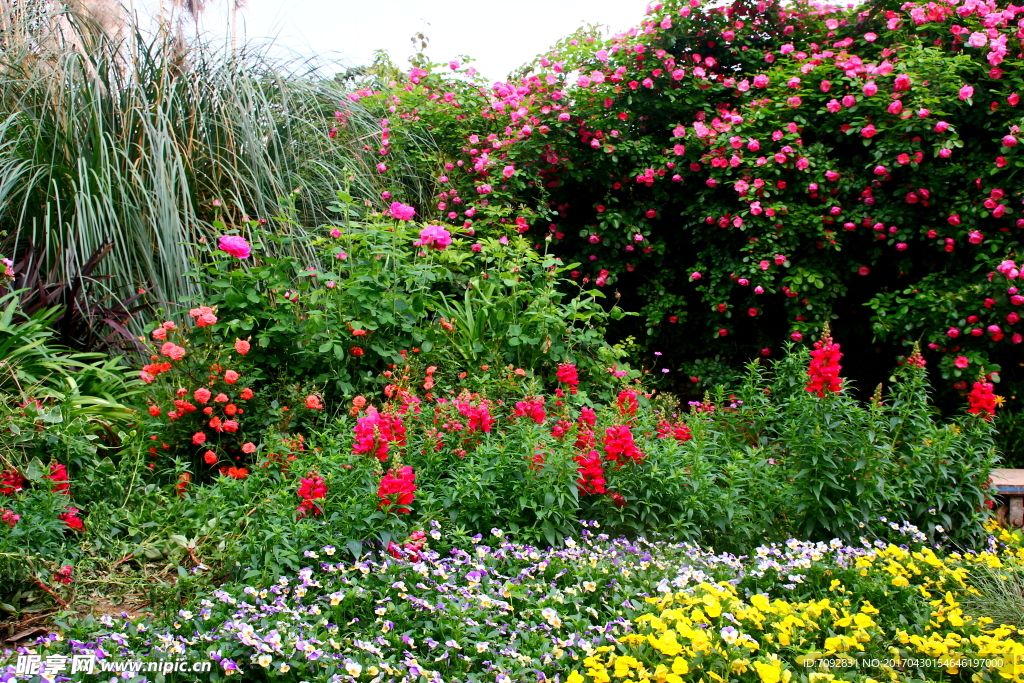 花園