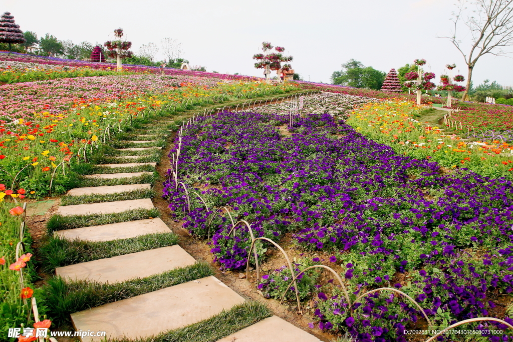 花園