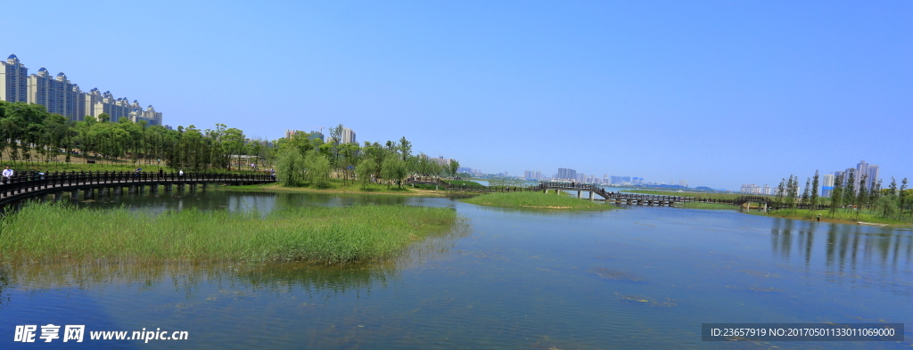 濕地公園