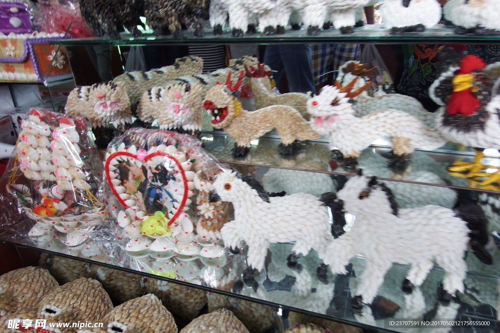 貝殼工藝品