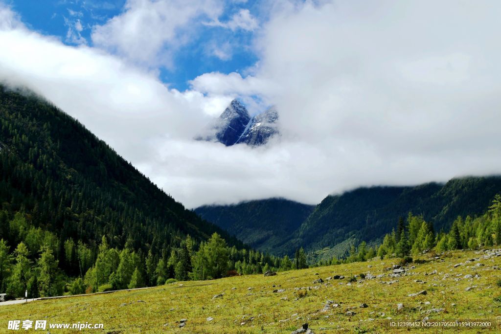 四姑娘山景觀