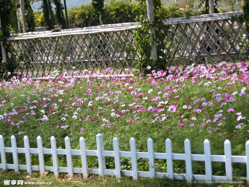 小花園