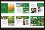 绿色画册 绿色宣传册