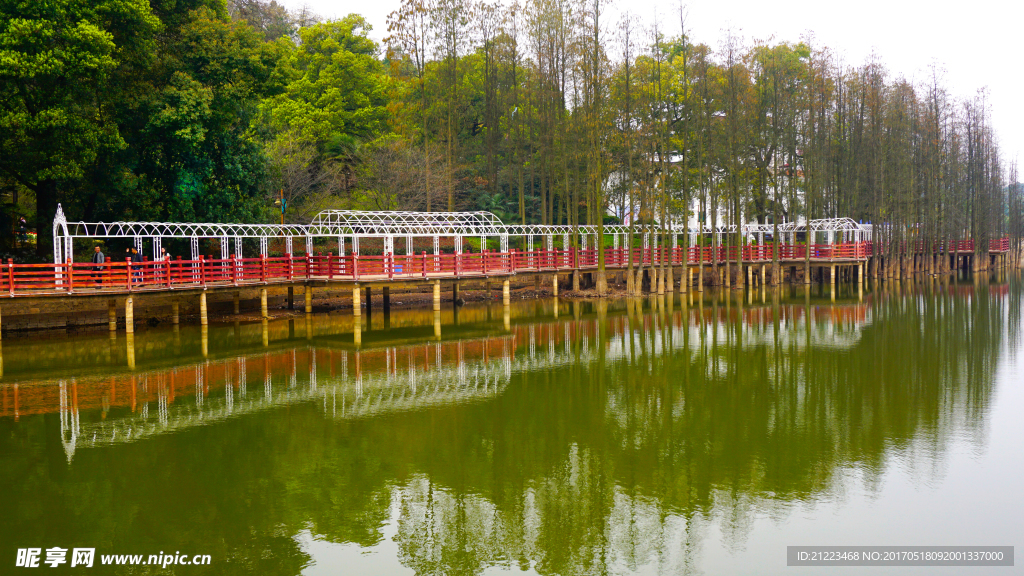 櫻花湖畔