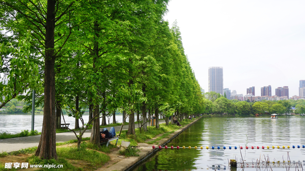 湖畔一景