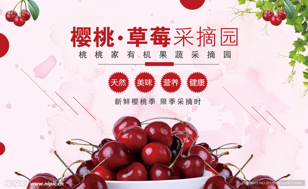 櫻桃采摘海報