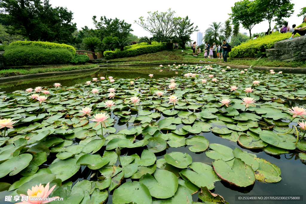 公園風景圖片