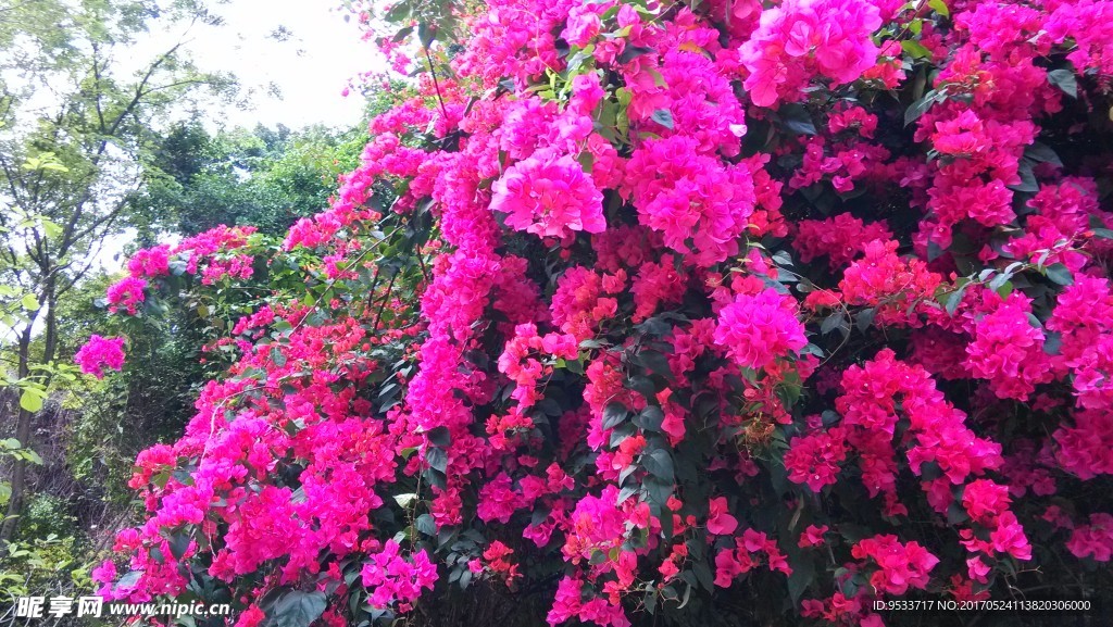 花