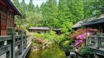 上海植物園 一角