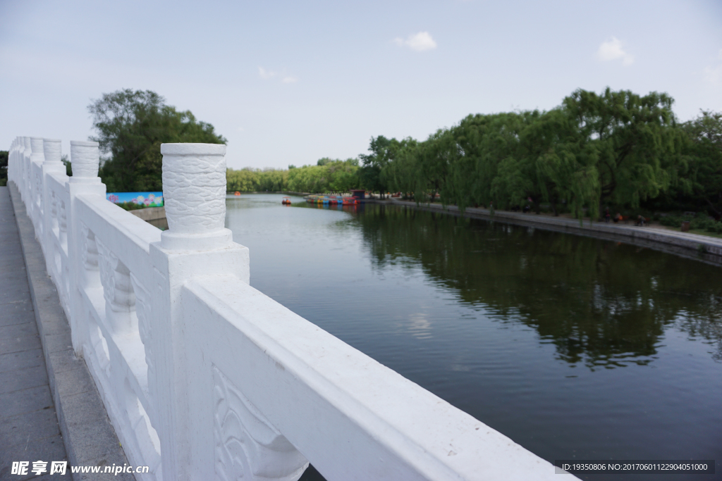 公園 橋 湖