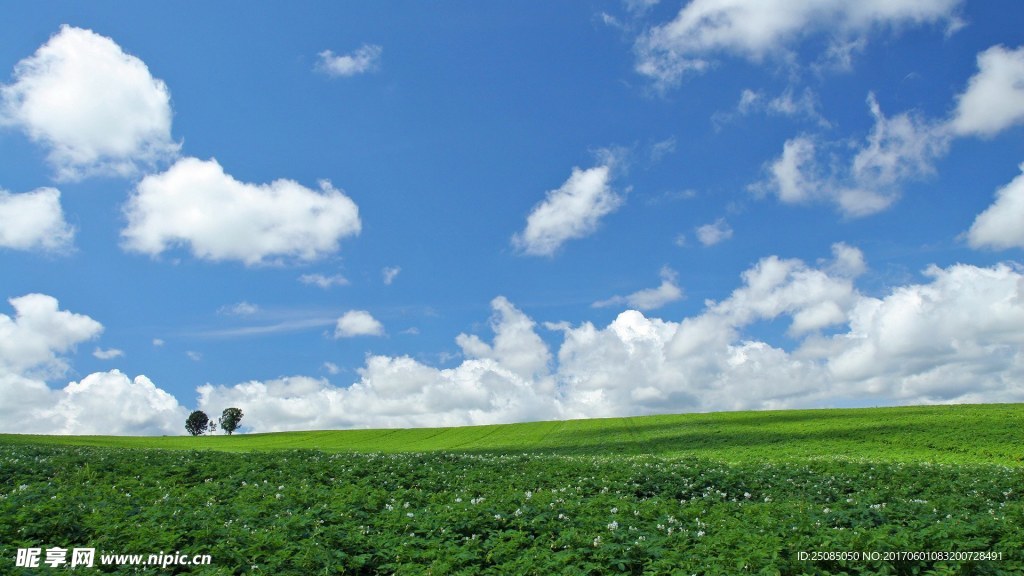 風景圖