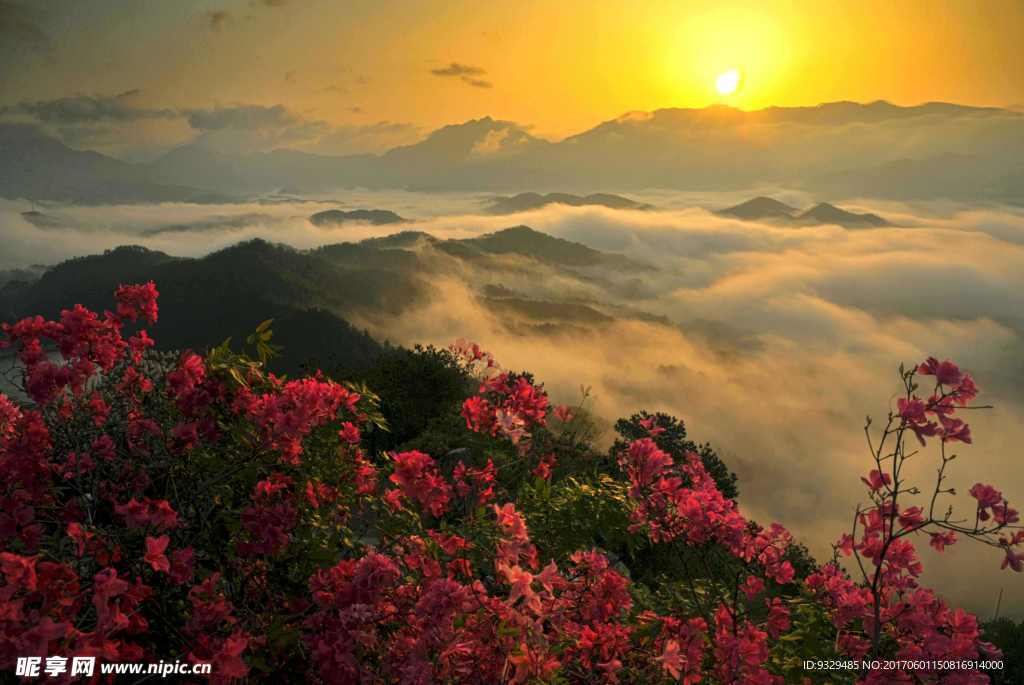 夕陽映山紅云海