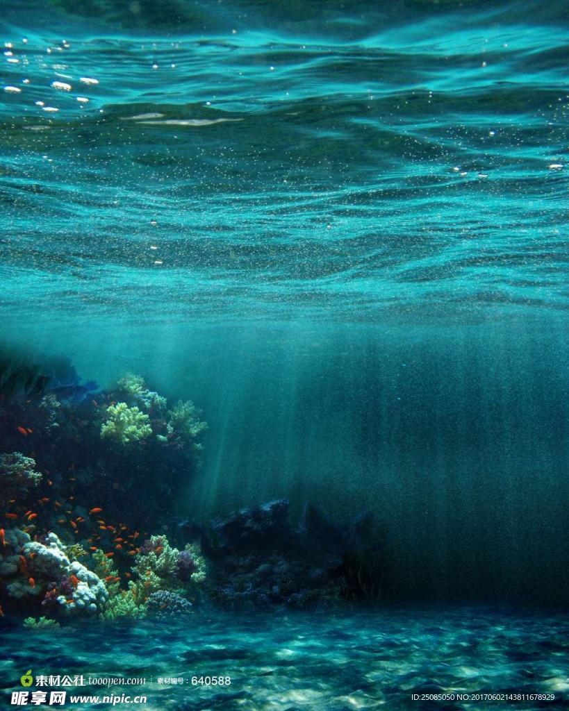 海洋圖片