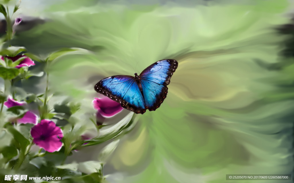 蓝色蝴蝶唯美意境