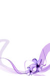 紫飘带花