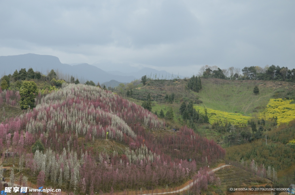 桃花山