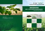 绿色植物画册封面