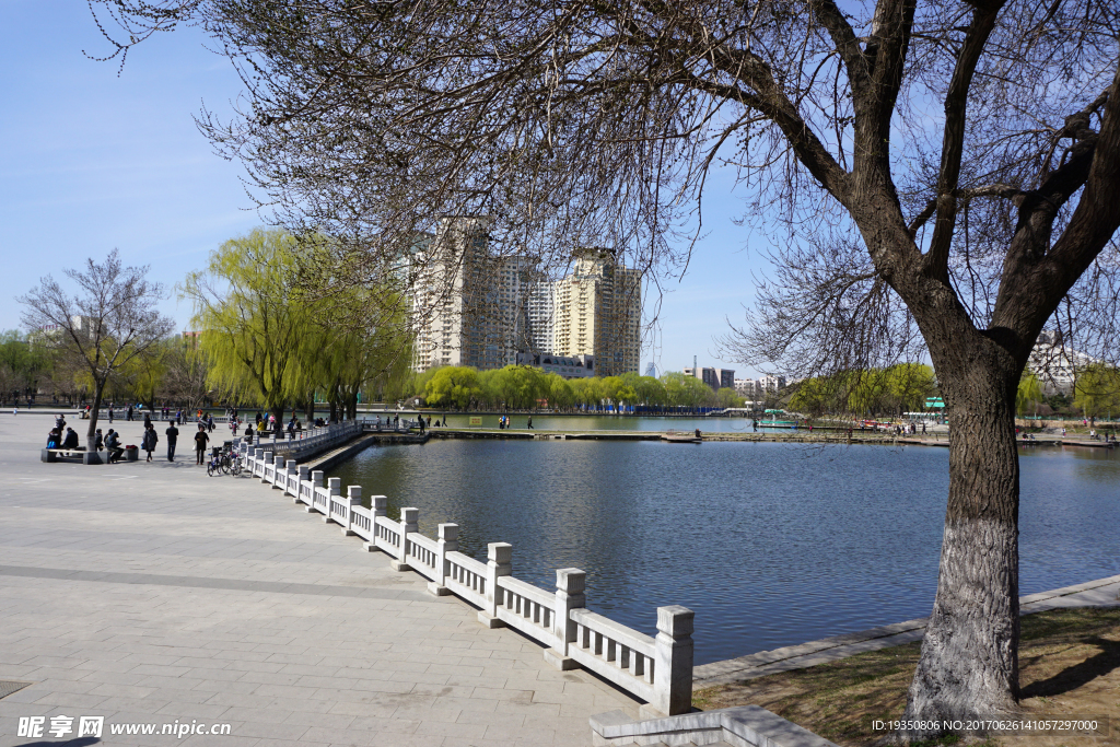 沈陽萬柳塘公園 春天景色