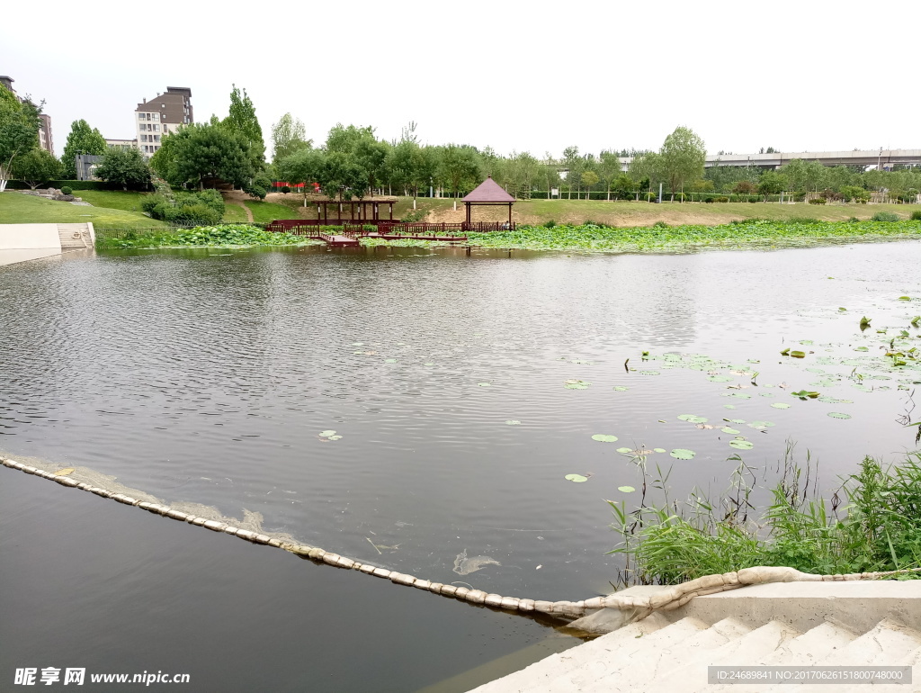 公園湖面