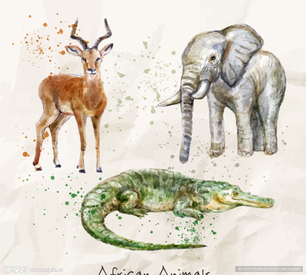 水彩插画 非洲动物