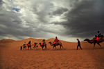 大漠驼队