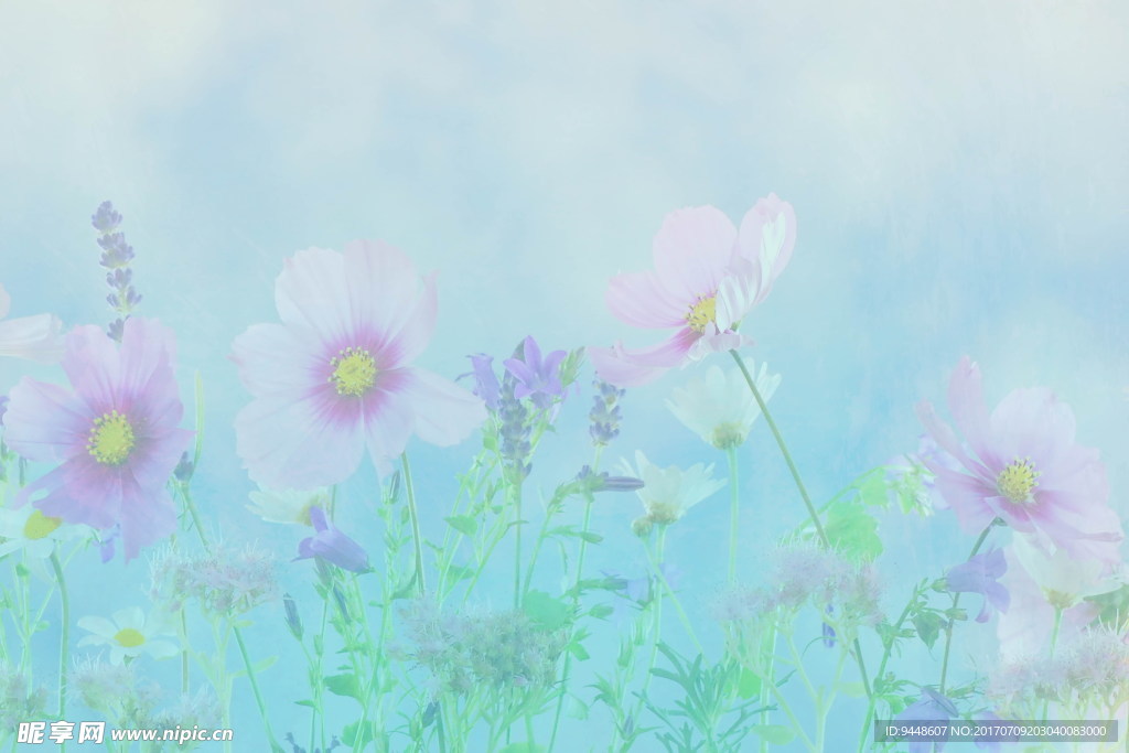 清新花卉淡雅背景图片