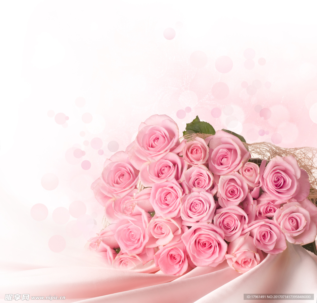 玫瑰花