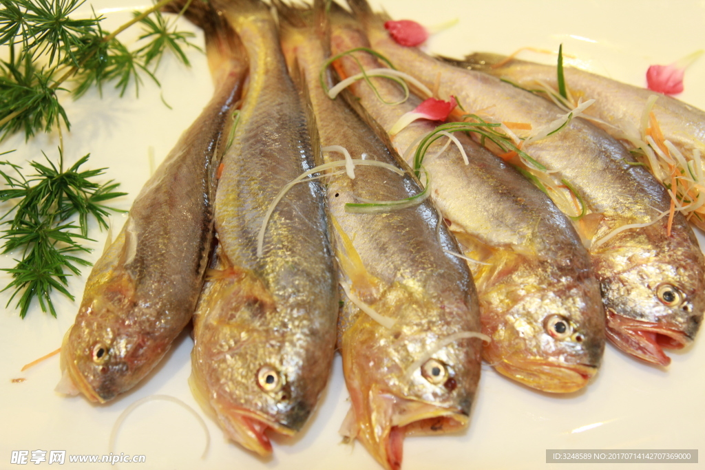 梅子魚