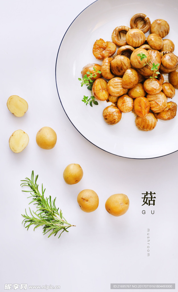 蘑類(lèi)