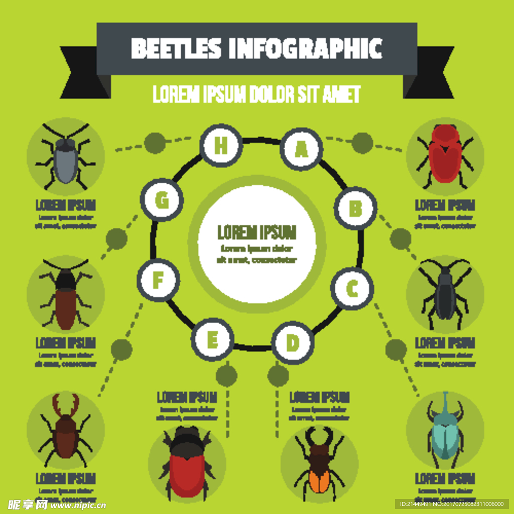 昆虫信息图表创意