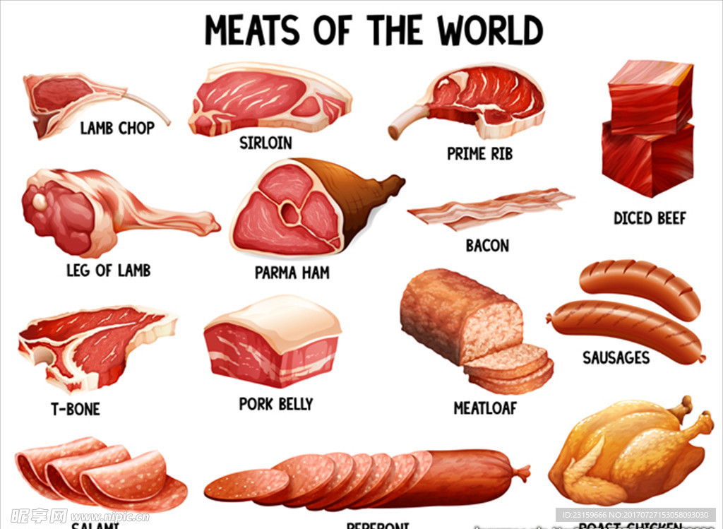 世界上不同种类的肉类