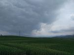 陰雨天下東北苞米地
