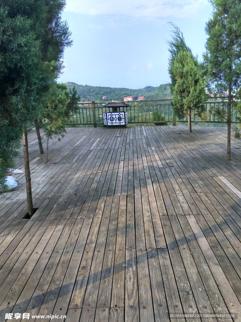 樹藤