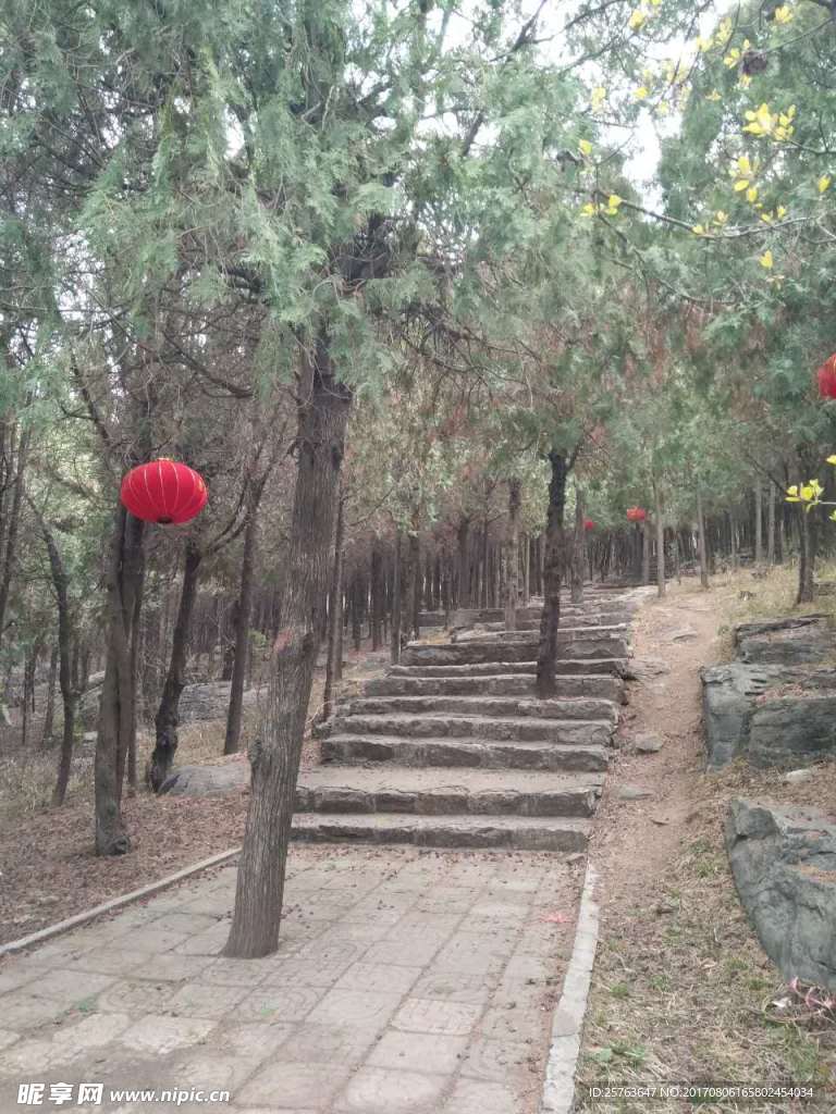 山間小路