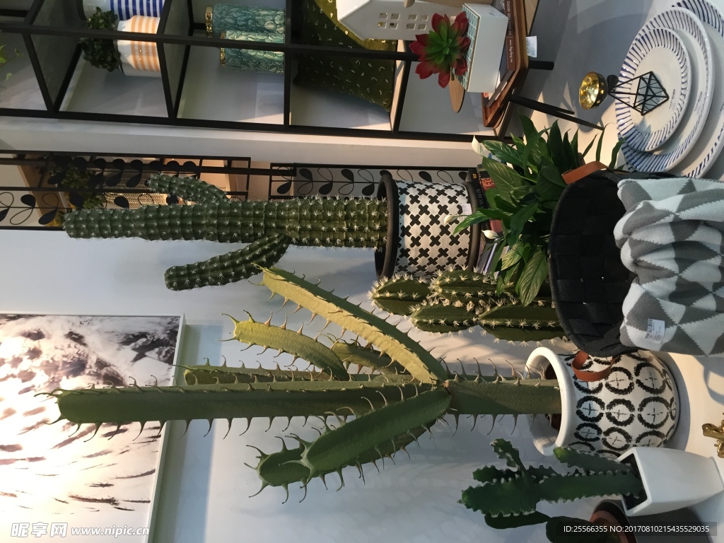 家居展會裝飾品