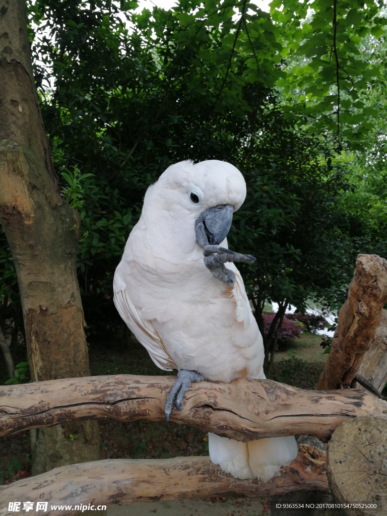 野生動物園