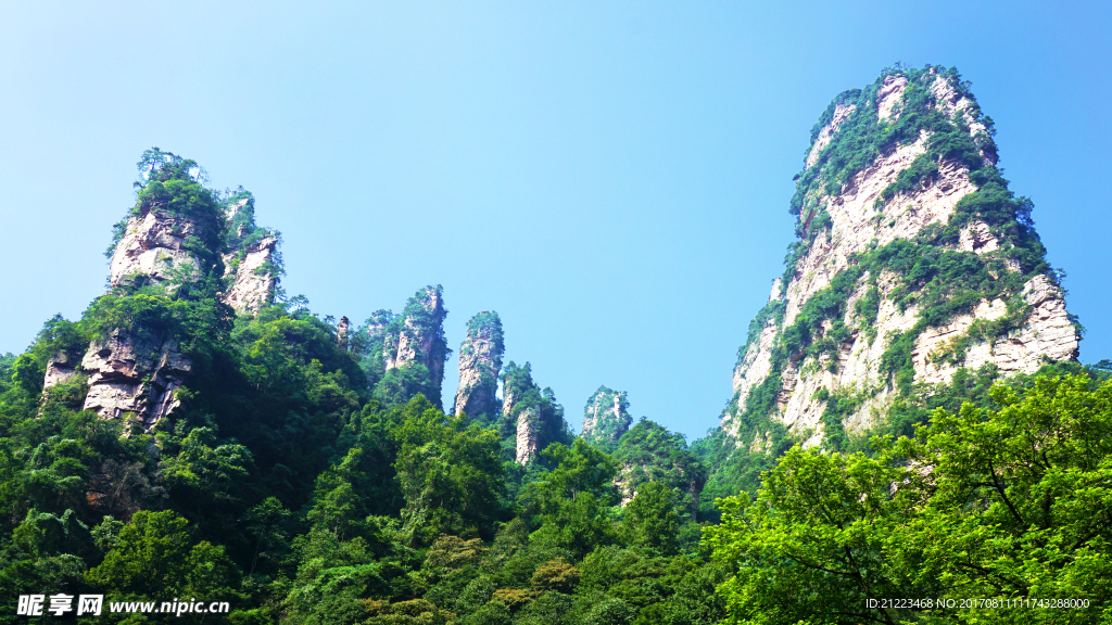 山美