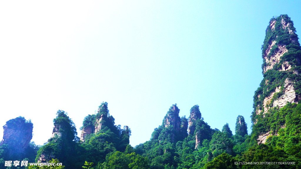 山美