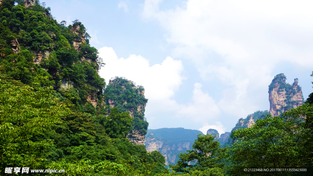 山美