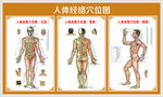 人体经络穴位分布图正面、侧面