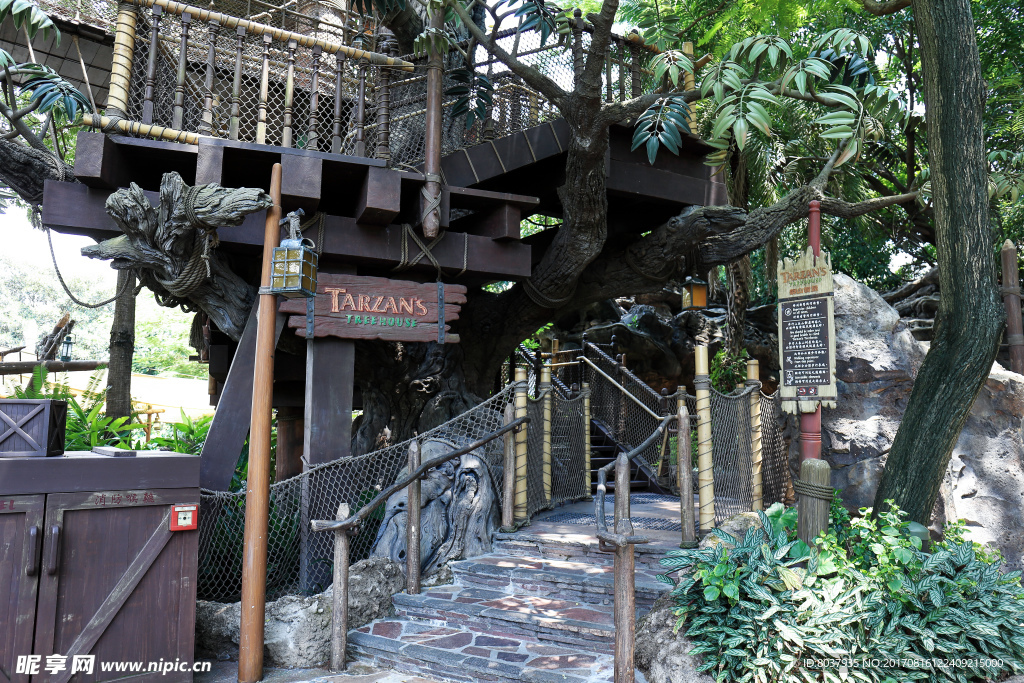 泰山樹(shù)屋